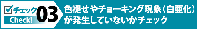 03：色褪せやチョーキング現象（白亜化）が発生していないかチェック