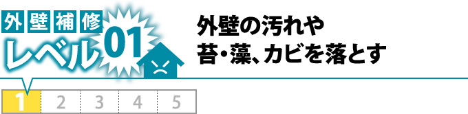 レベル01：外壁の汚れや苔・藻、カビを落とす