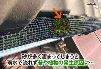 砂が多く溜まってしまうと苔や植物の発生原因に