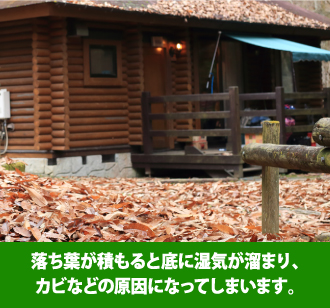 落ち葉が積もると底に湿気が溜まり、カビなどの原因になってしまいます