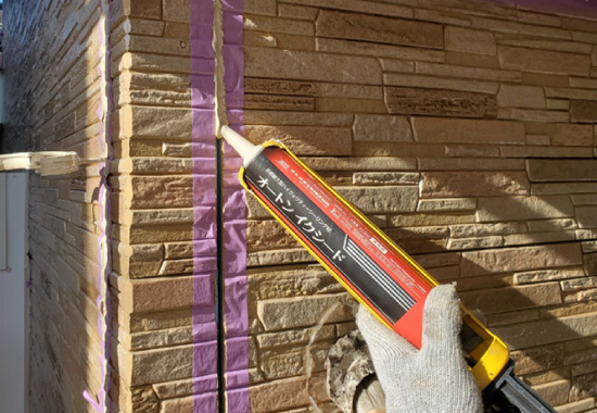 オートンイクシード