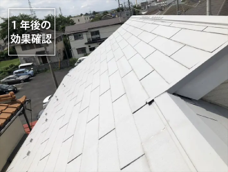 1年後の効果確認の様子