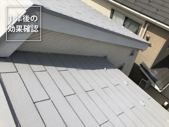 1年後の効果確認の様子