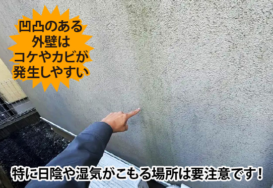 凹凸のある外壁はコケやカビが発生しやすい
