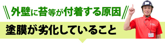 【外壁に苔等が付着する原因】塗膜が劣化していること