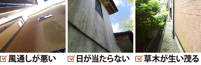 風通しが悪い、日が当たらない、草木が生い茂る