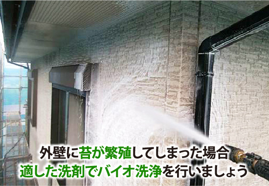 外壁に苔が繁殖してしまった場合適した洗剤でバイオ洗浄を行いましょう