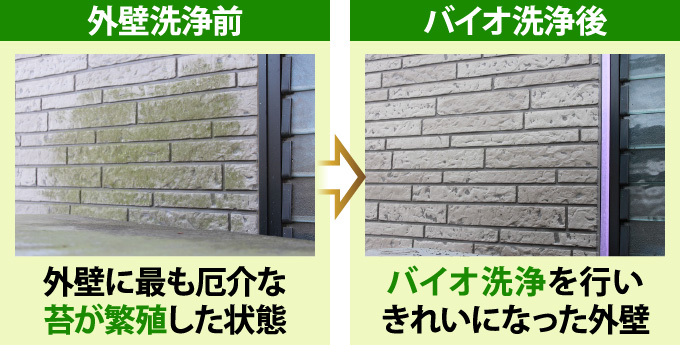 バイオ洗浄を行う前と後の外壁