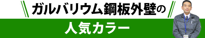 ガルバリウム鋼板外壁の人気カラー