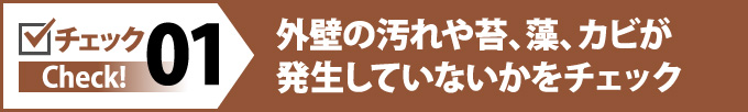01外壁の汚れや苔、藻、カビが発生していないかをチェック