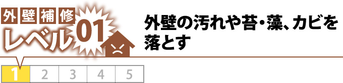 レベル01外壁の汚れや苔・藻、カビを落とす