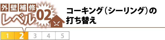 レベル02コーキング（シーリング）の打ち替え