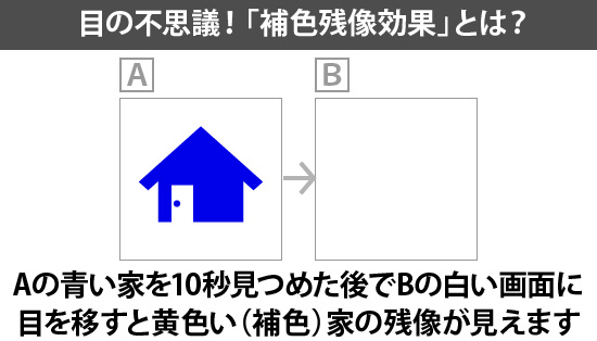 目の不思議！「補色残像効果」とは？