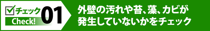 01外壁の汚れや苔、藻、カビが発生していないかをチェック