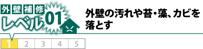 レベル1：外壁の汚れや苔・藻、カビを落とす