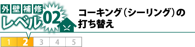 レベル2：コーキング（シーリング）の 打ち替え